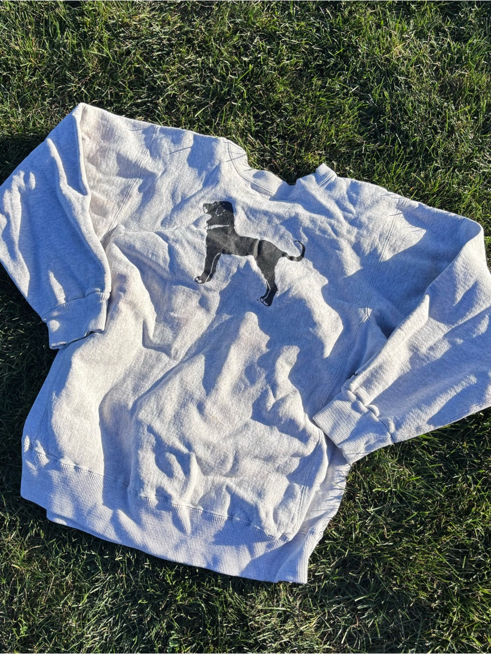 The Black Dog CrewNeck Gray Hoodie with Black Graphic